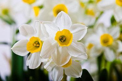 索尼新服务要来了？PS Plus和PS Now已开始整合